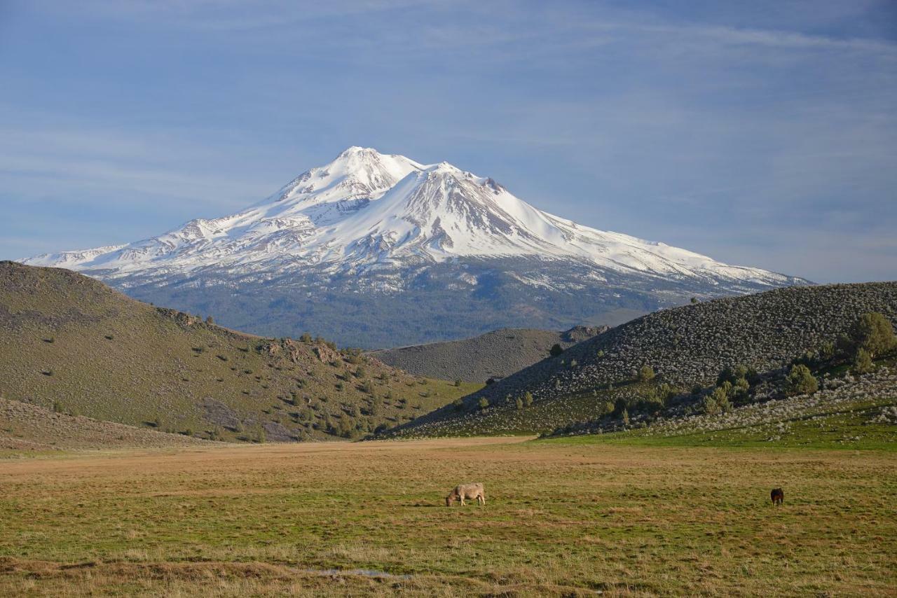 Inn At Mount Shasta Zewnętrze zdjęcie